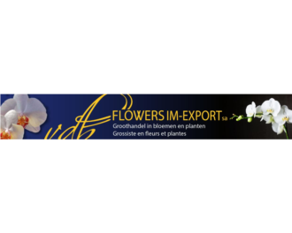 Logo VDB FLOWERS IM EXPORT SA