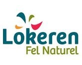 Logo Stad en OCMW Lokeren