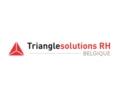 Logo Triangle Solutions RH