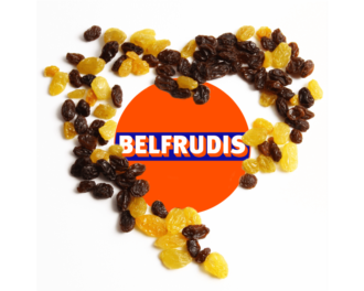 Logo Belfrudis