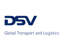 Logo Introduce pour DSV