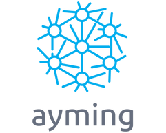 Logo Ayming Benelux