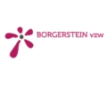 Logo Borgerstein vzw