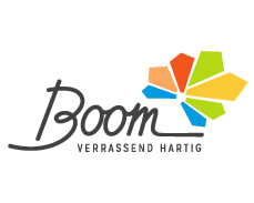 Logo Lokaal bestuur Boom